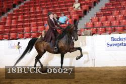 18BUCK_06027 proof