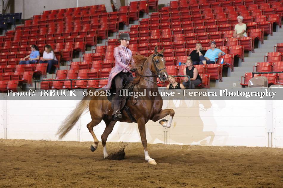 Proof 18BUCK_06028