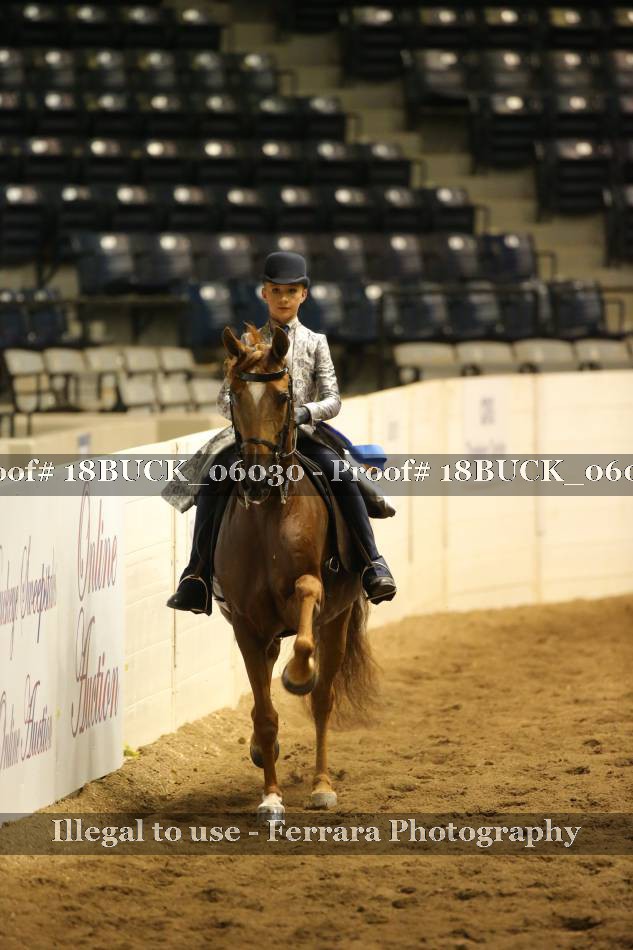 Proof 18BUCK_06030