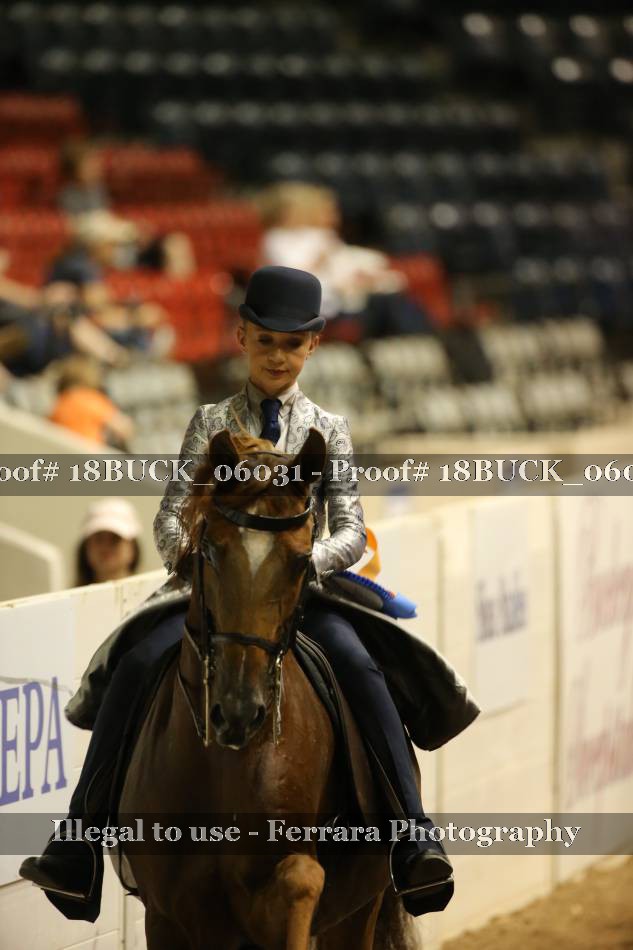 Proof 18BUCK_06031