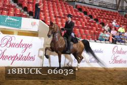 18BUCK_06032 proof