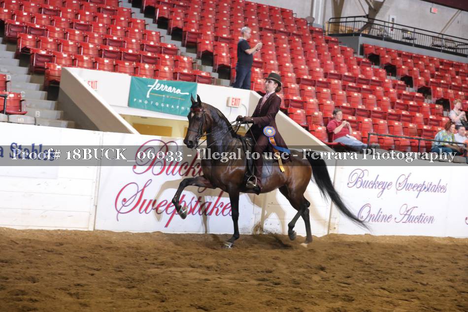 Proof 18BUCK_06033