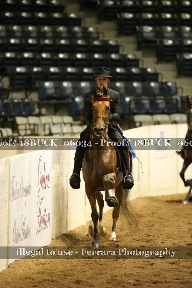 Proof 18BUCK_06034