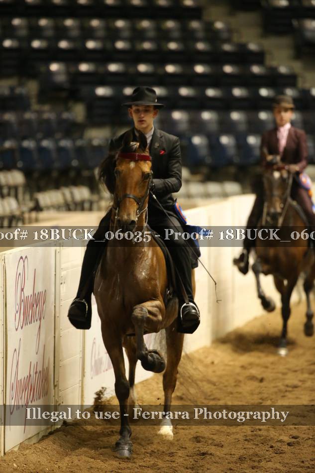 Proof 18BUCK_06035