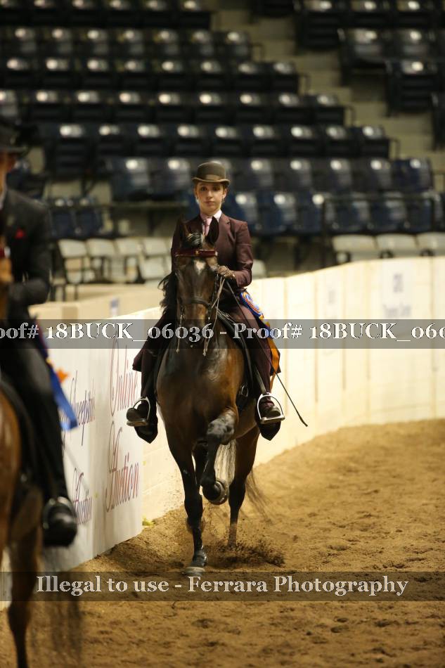 Proof 18BUCK_06036