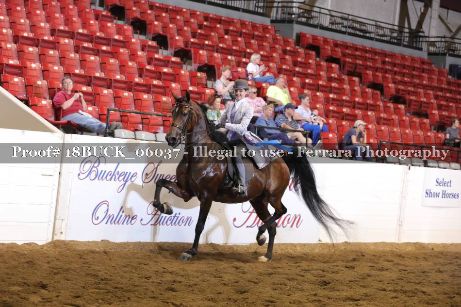 Proof 18BUCK_06037