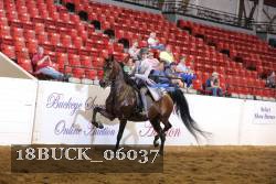 18BUCK_06037 proof