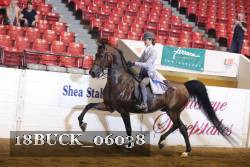 18BUCK_06038 proof