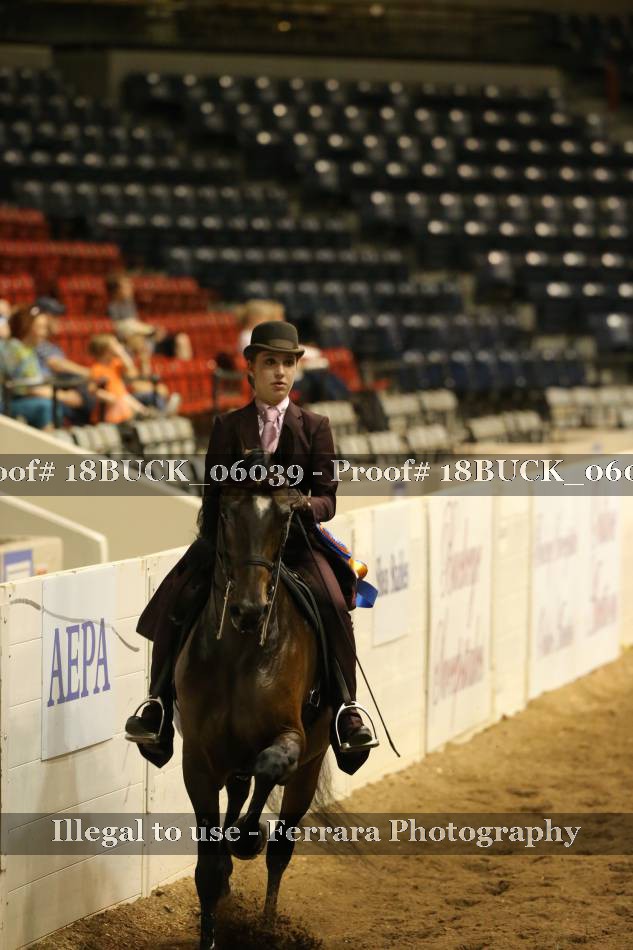 Proof 18BUCK_06039