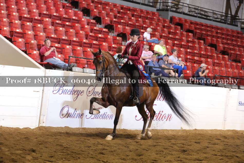 Proof 18BUCK_06040