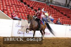 18BUCK_06040 proof
