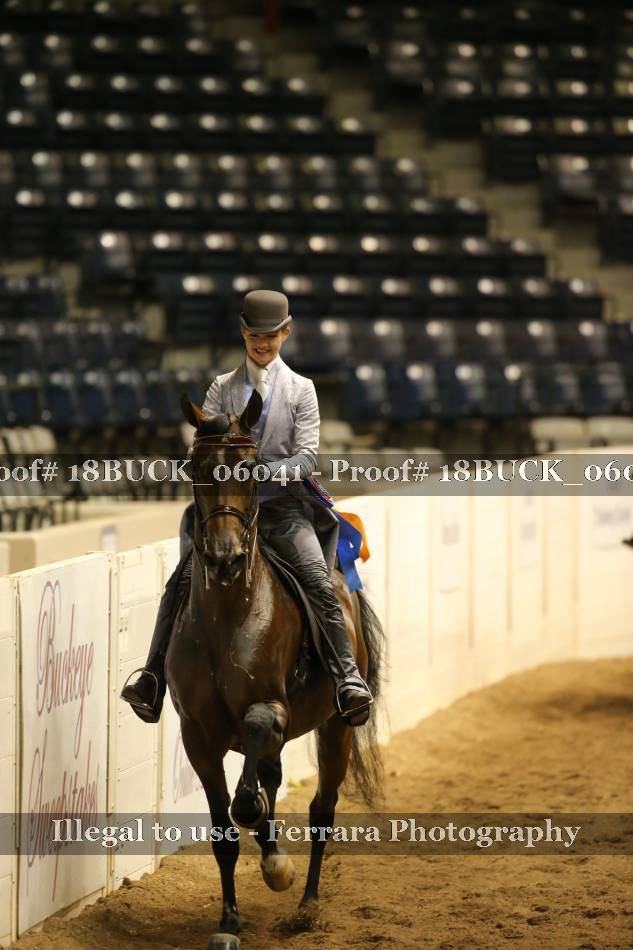 Proof 18BUCK_06041