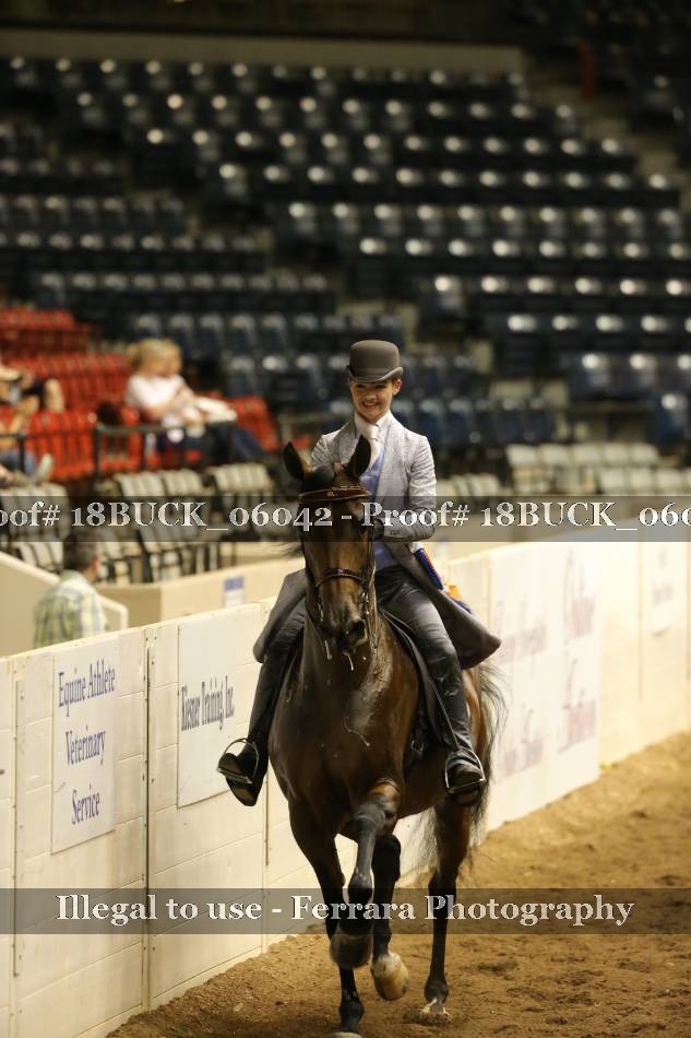 Proof 18BUCK_06042