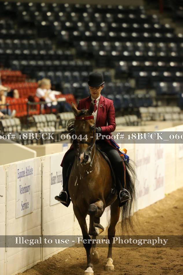 Proof 18BUCK_06044