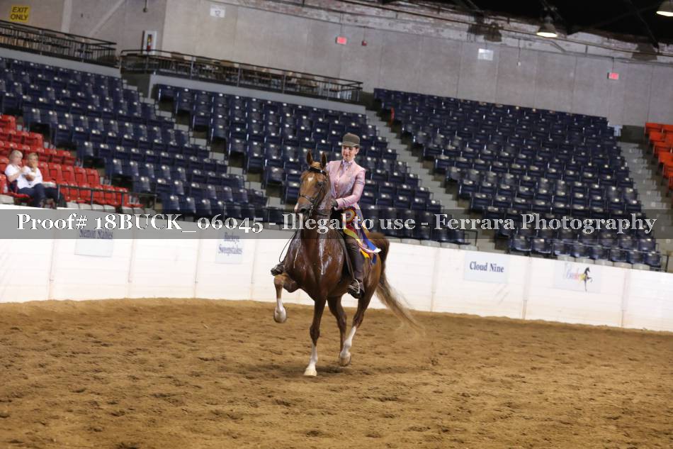 Proof 18BUCK_06045