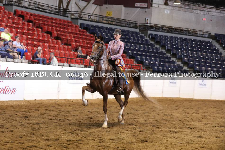 Proof 18BUCK_06046