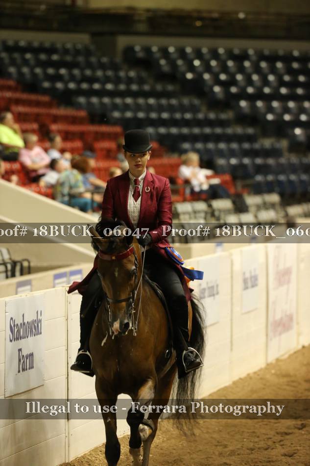 Proof 18BUCK_06047