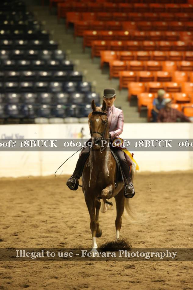Proof 18BUCK_06049