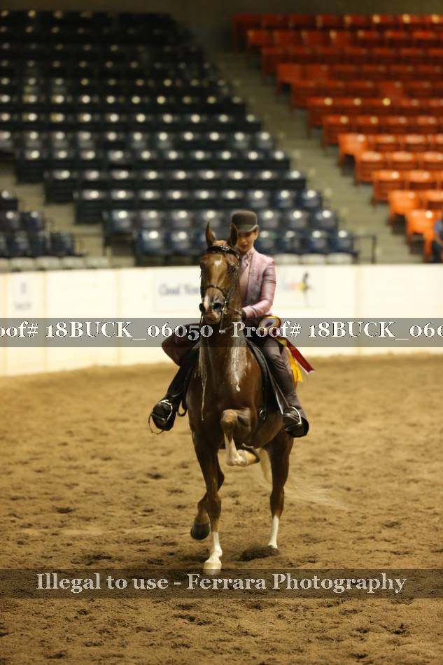 Proof 18BUCK_06050