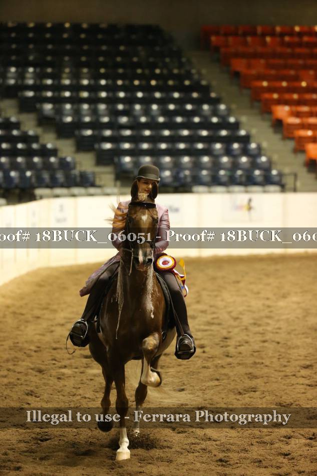Proof 18BUCK_06051