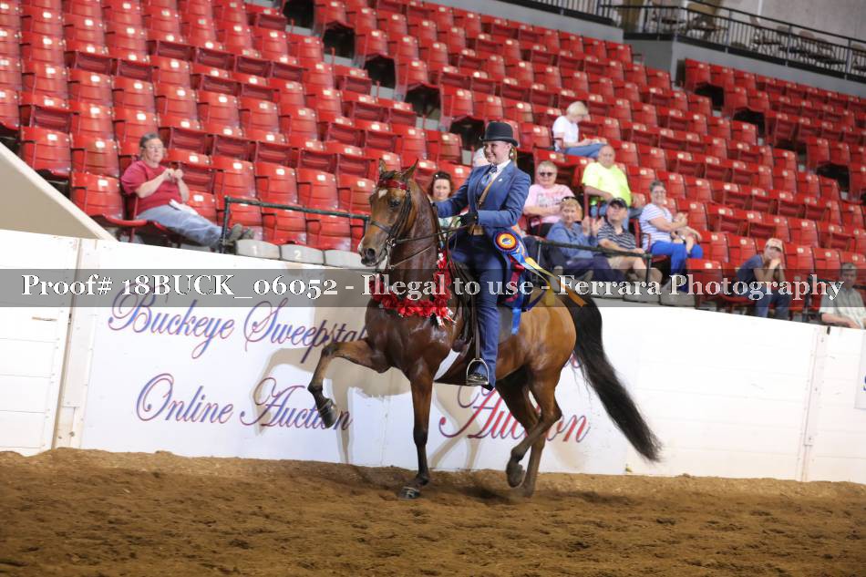 Proof 18BUCK_06052