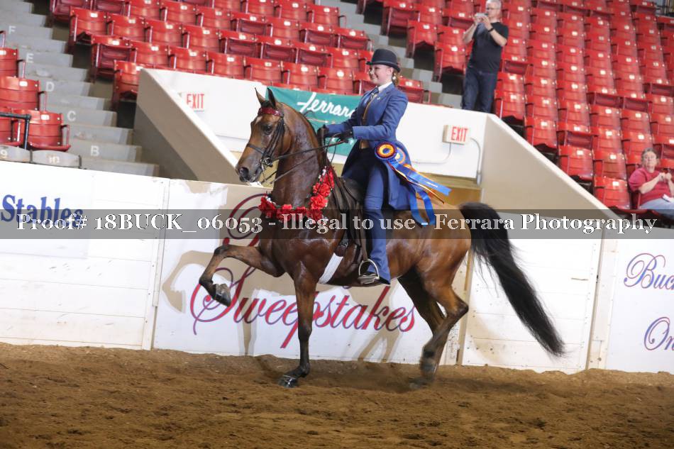 Proof 18BUCK_06053