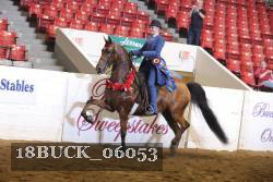 18BUCK_06053 proof