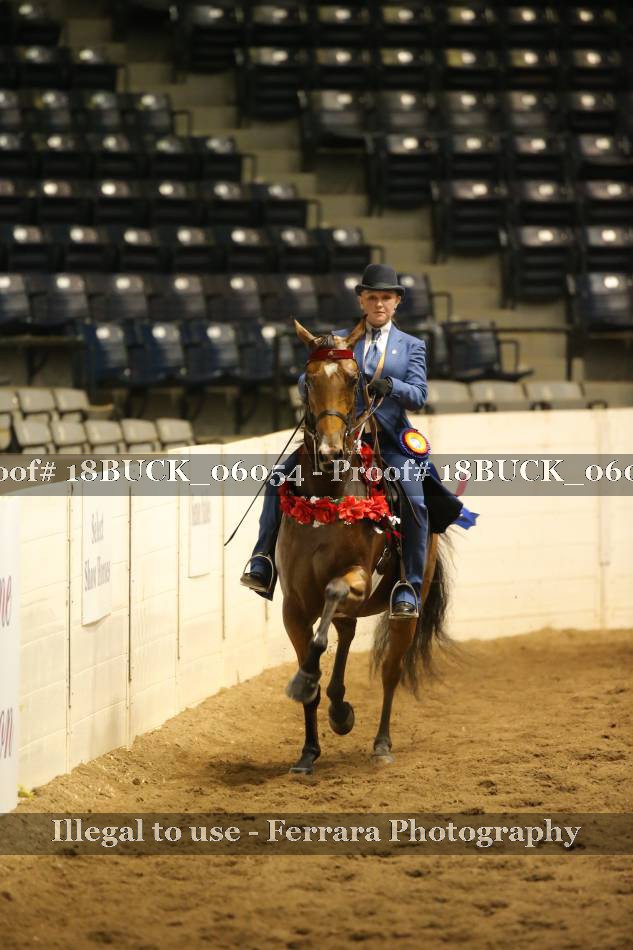 Proof 18BUCK_06054
