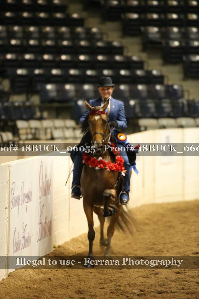 Proof 18BUCK_06055