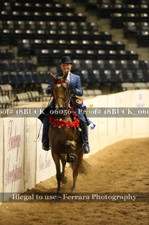 Proof 18BUCK_06056