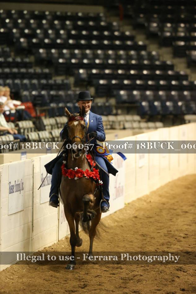 Proof 18BUCK_06057