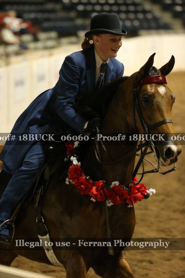 Proof 18BUCK_06060
