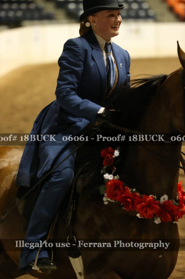 Proof 18BUCK_06061