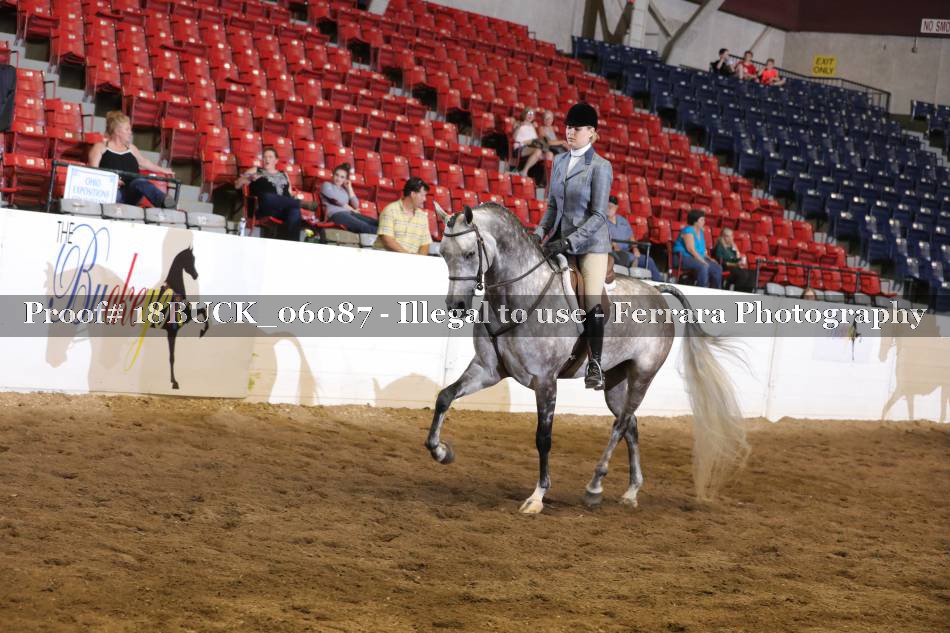 Proof 18BUCK_06087