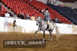 18BUCK_06087 proof
