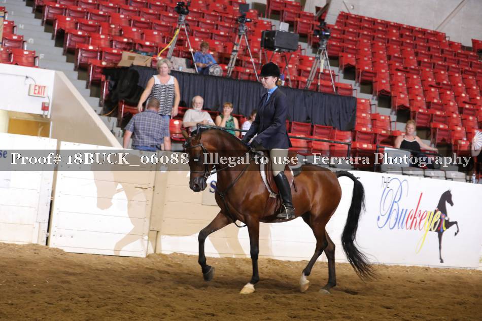 Proof 18BUCK_06088