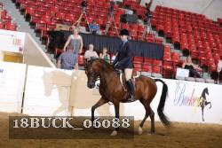 18BUCK_06088 proof