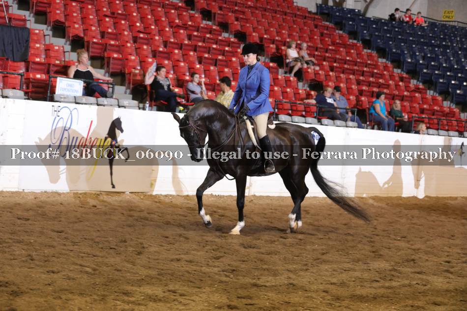 Proof 18BUCK_06090