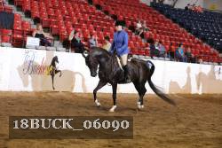 18BUCK_06090 proof