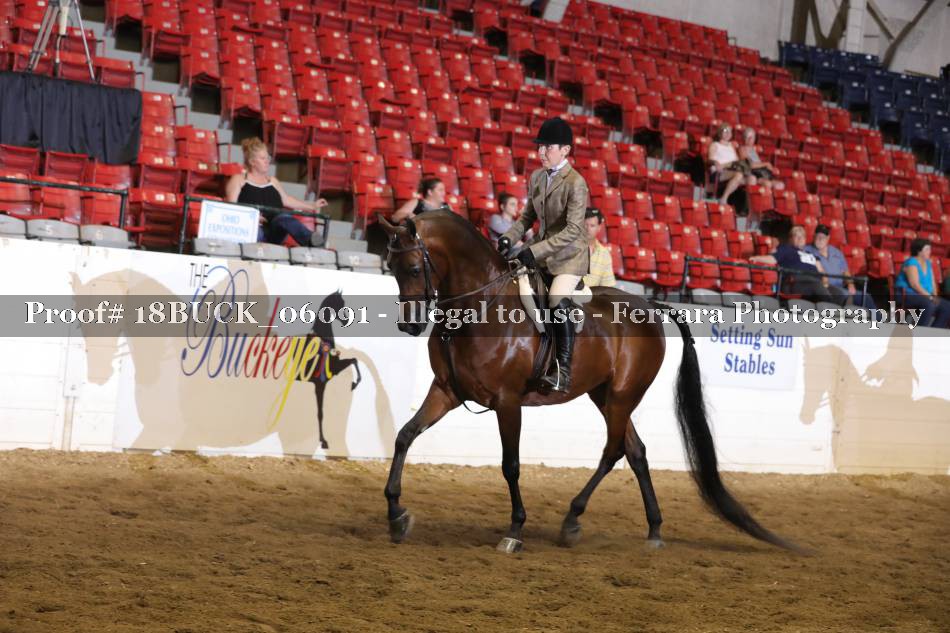 Proof 18BUCK_06091