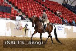 18BUCK_06091 proof