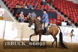 18BUCK_06092 proof