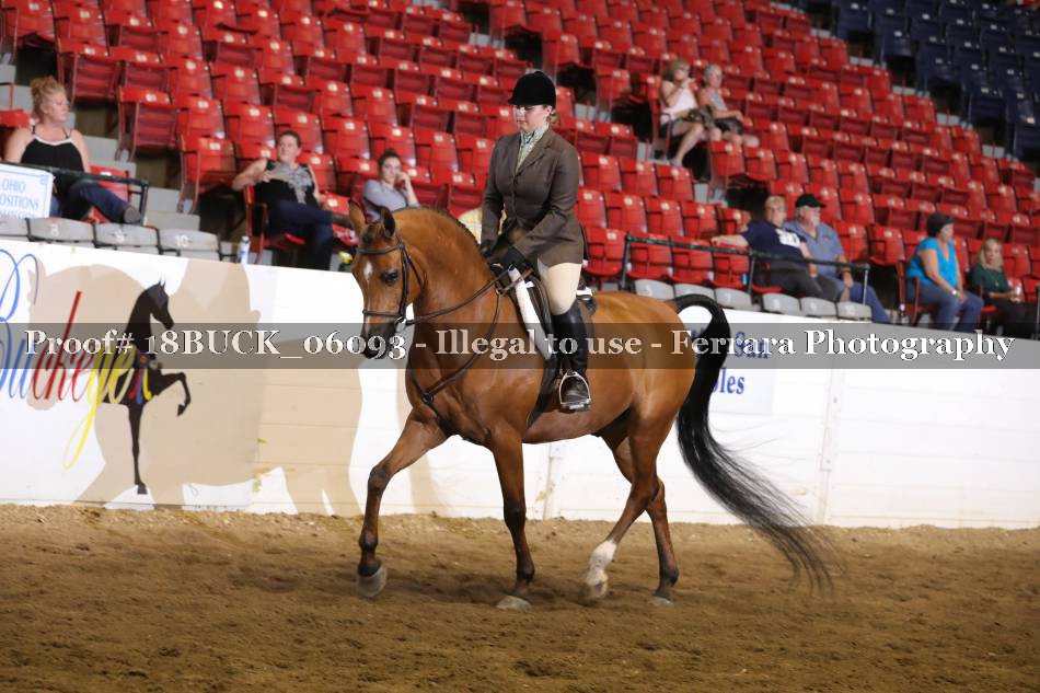 Proof 18BUCK_06093