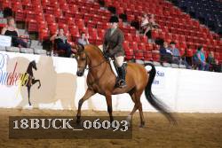18BUCK_06093 proof
