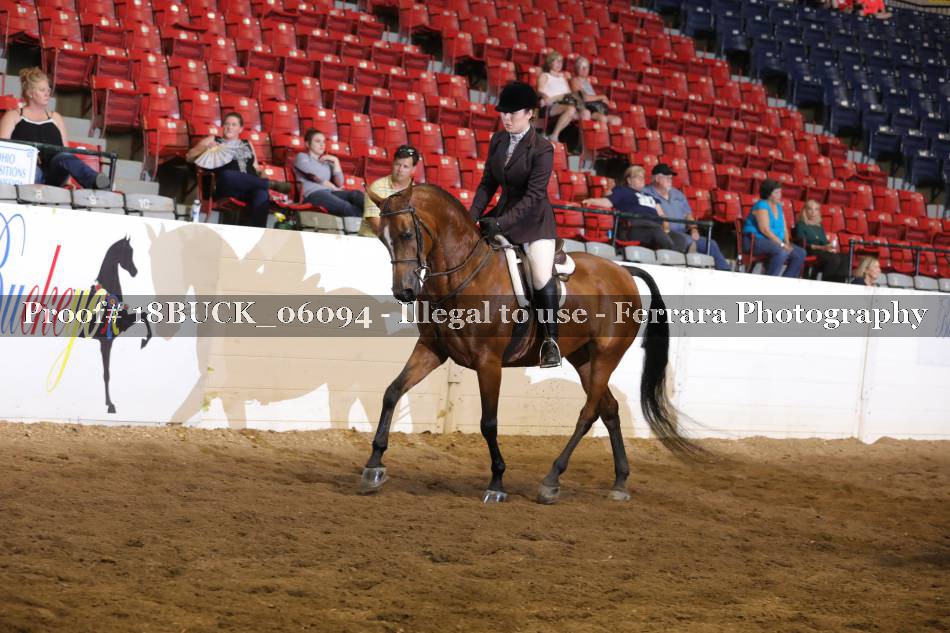 Proof 18BUCK_06094