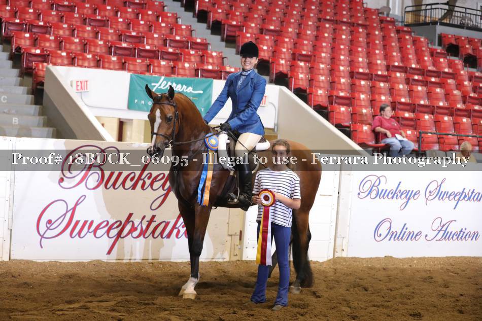 Proof 18BUCK_06095