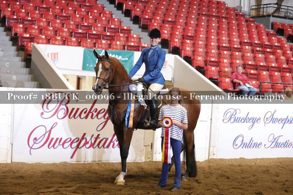 Proof 18BUCK_06096