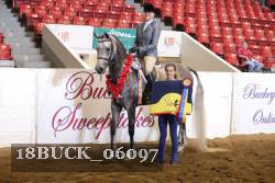 18BUCK_06097 proof