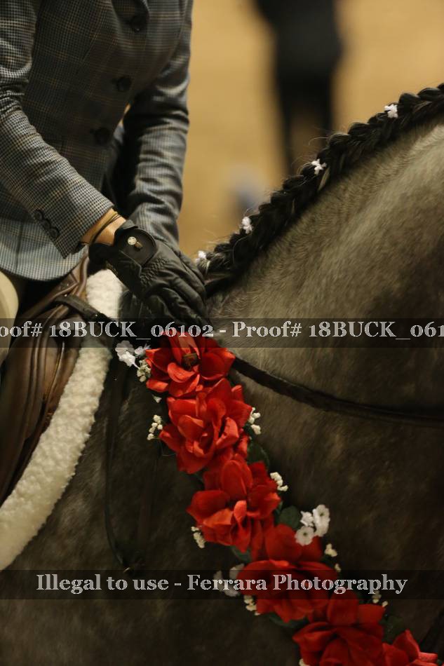 Proof 18BUCK_06102