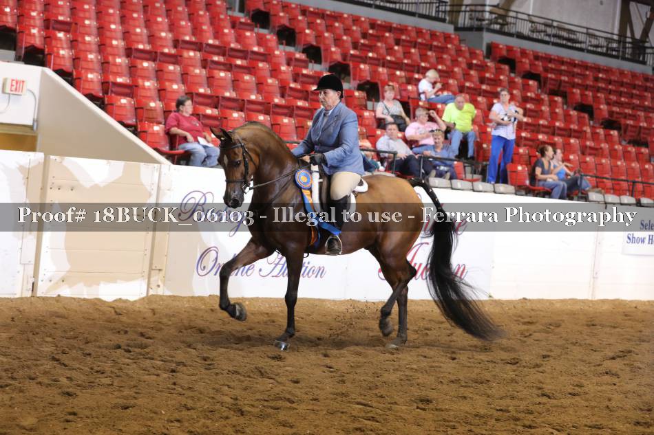 Proof 18BUCK_06103